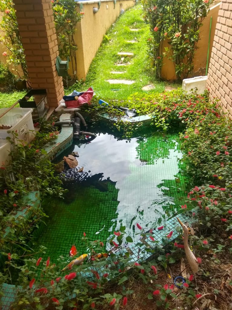 Parque da Fazenda