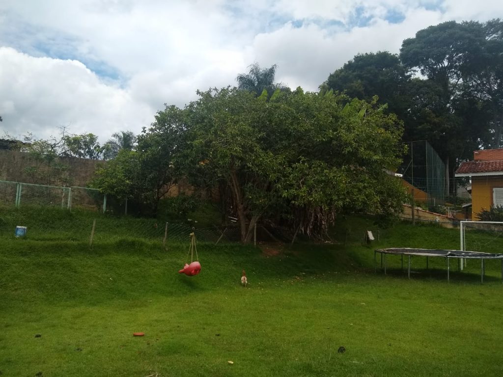 Parque da Fazenda
