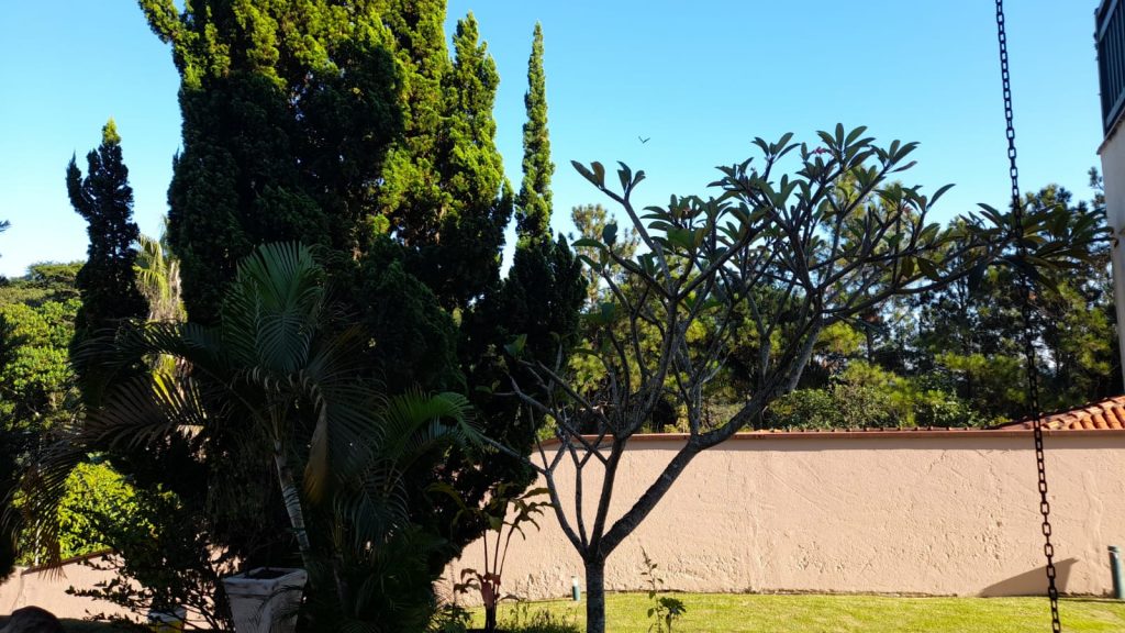 Parque da Fazenda