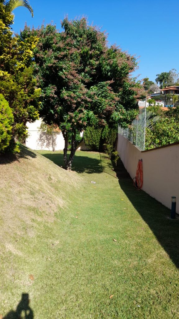 Parque da Fazenda