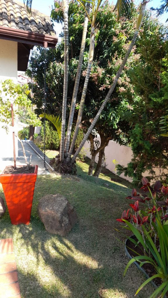 Parque da Fazenda