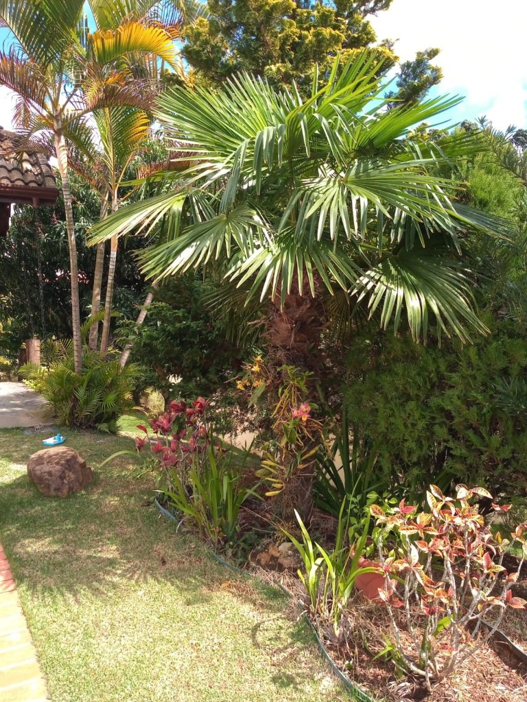 Parque da Fazenda
