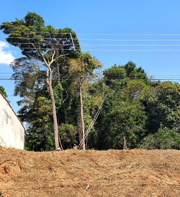 Terreno Plano no Parque da Fazenda