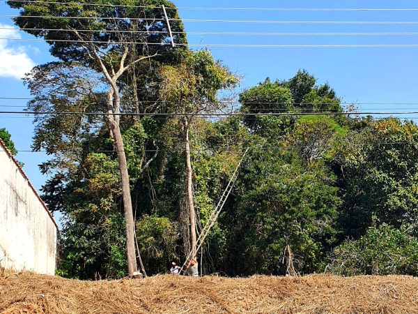 Terreno Plano no Parque da Fazenda