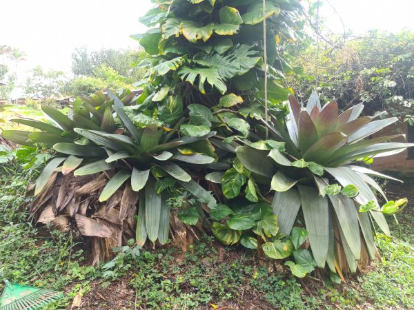 LINDO TERRENO PARQUE DA FAZENDA