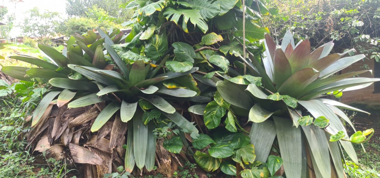 LINDO TERRENO PARQUE DA FAZENDA